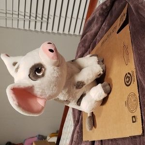 Pua Disney Plushy‎ from Moana